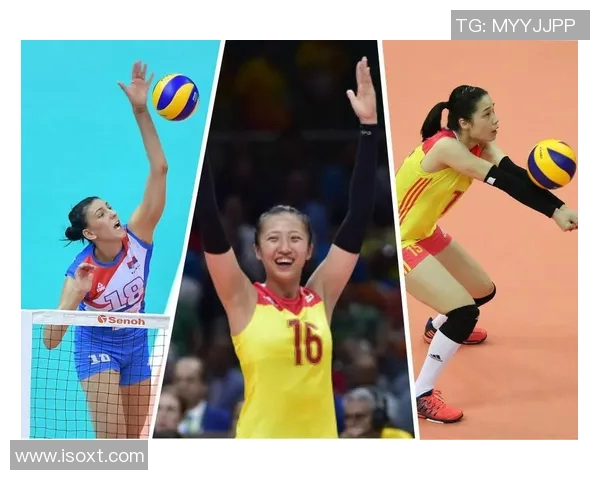 排球团队协作实力榜单揭晓西安排球队荣登第十位