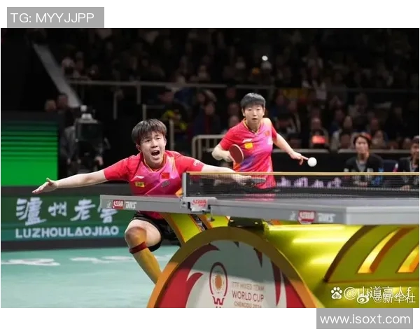 杭州乒乓球队挑战赛特别报道：从艰辛历程到辉煌突破的奋斗故事